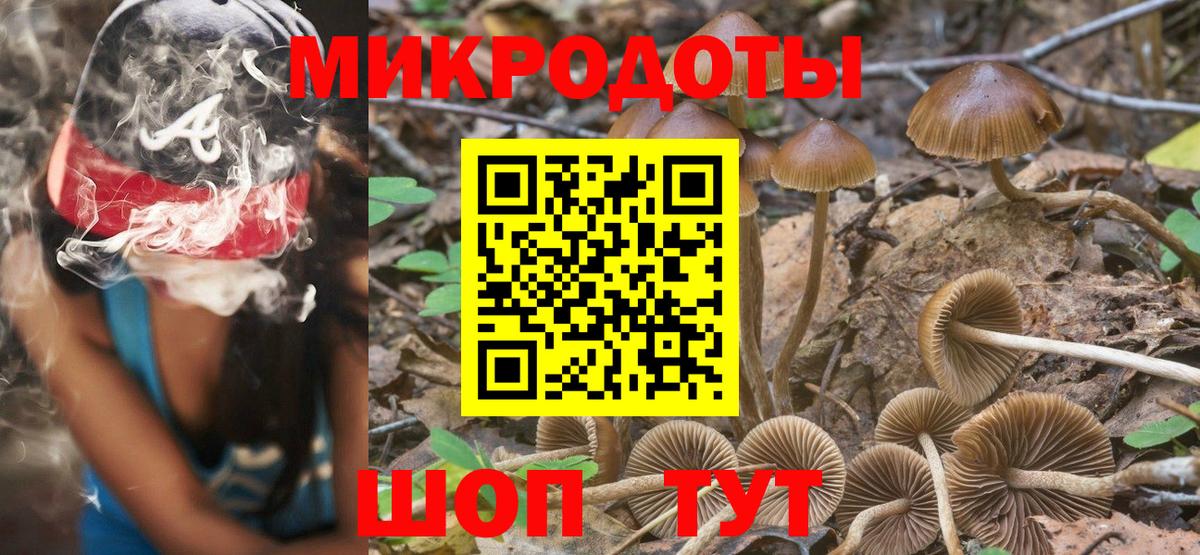 Галлюциногенные грибы Psilocybine cubensis Лениногорск