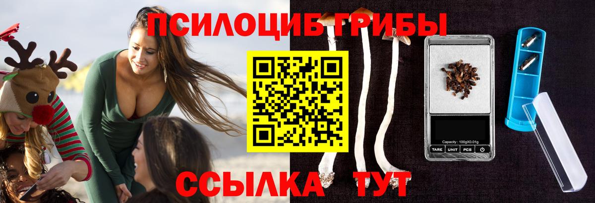 Лениногорск  Галлюциногенные грибы MAGIC MUSHROOMS  Псилоцибиновые грибы прущие грибы  Вход с VPN 